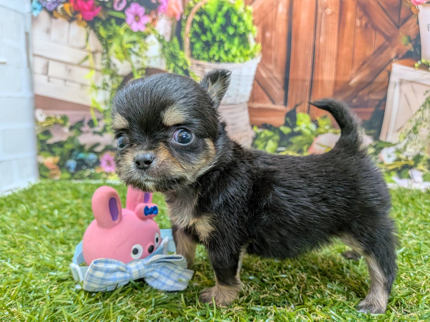 赤ちゃん写真2-2