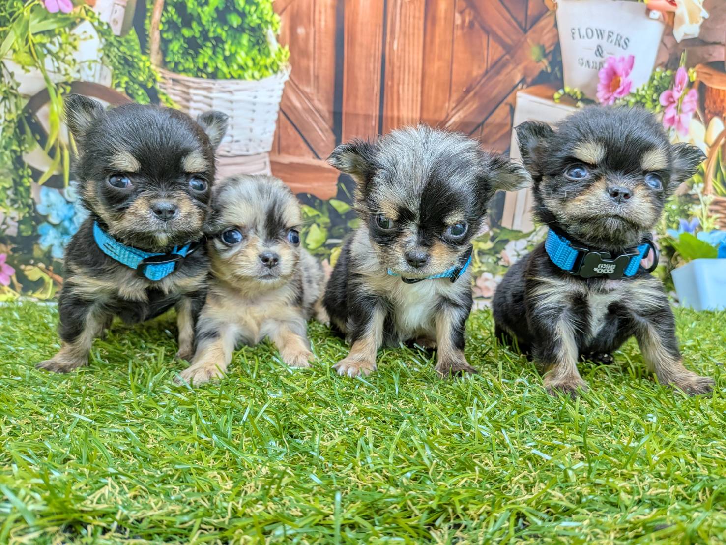 赤ちゃん写真2-3