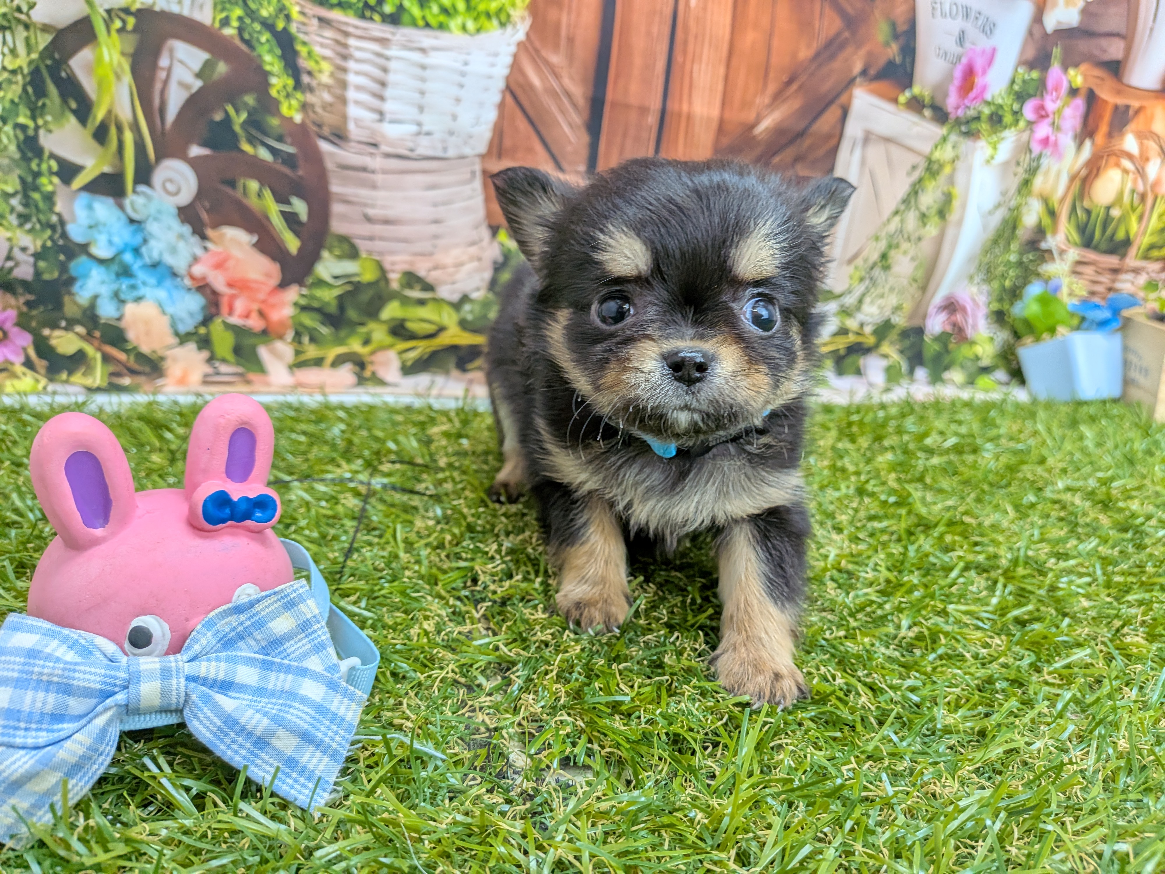 赤ちゃん写真3-1