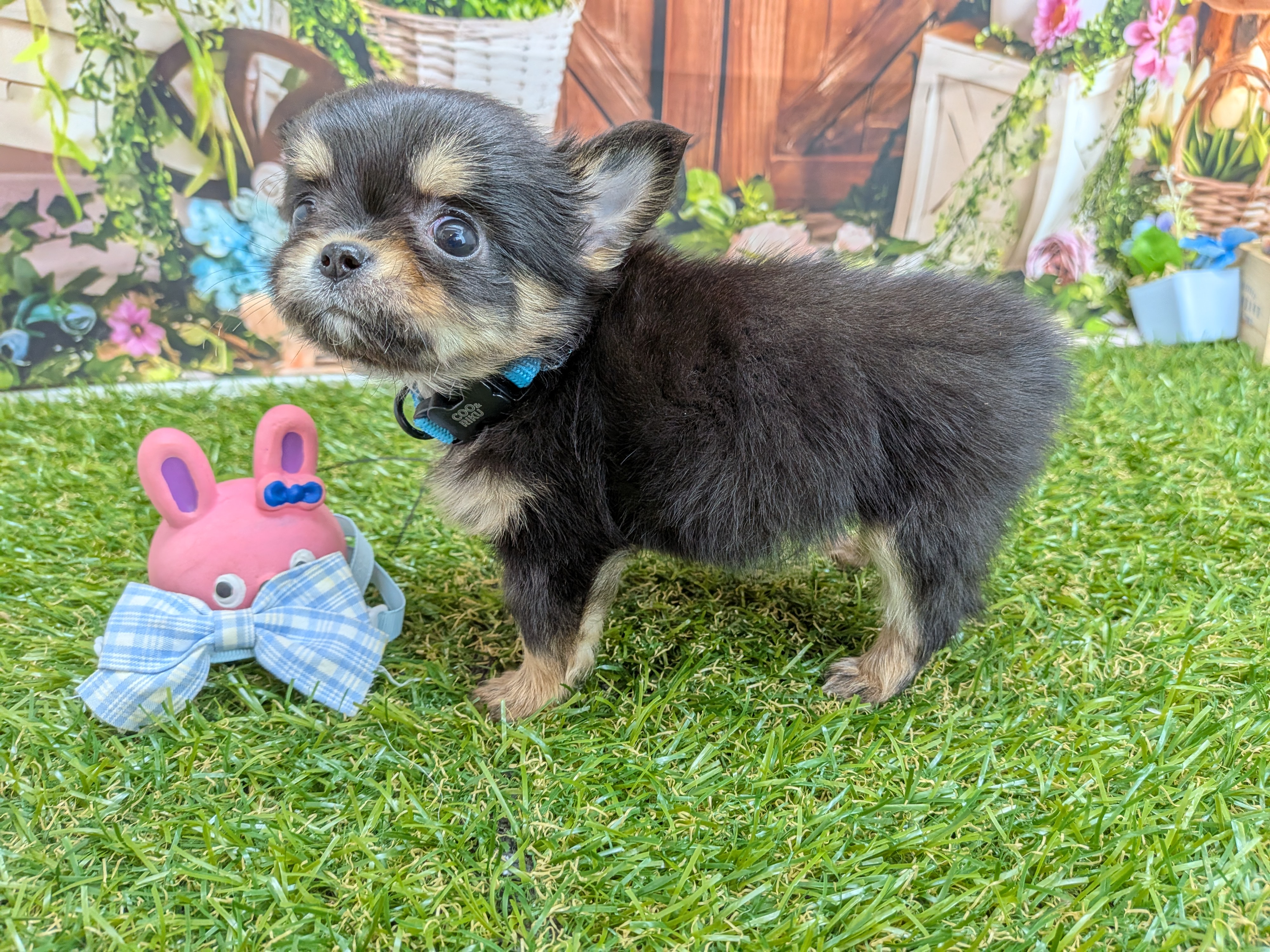 赤ちゃん写真3-2