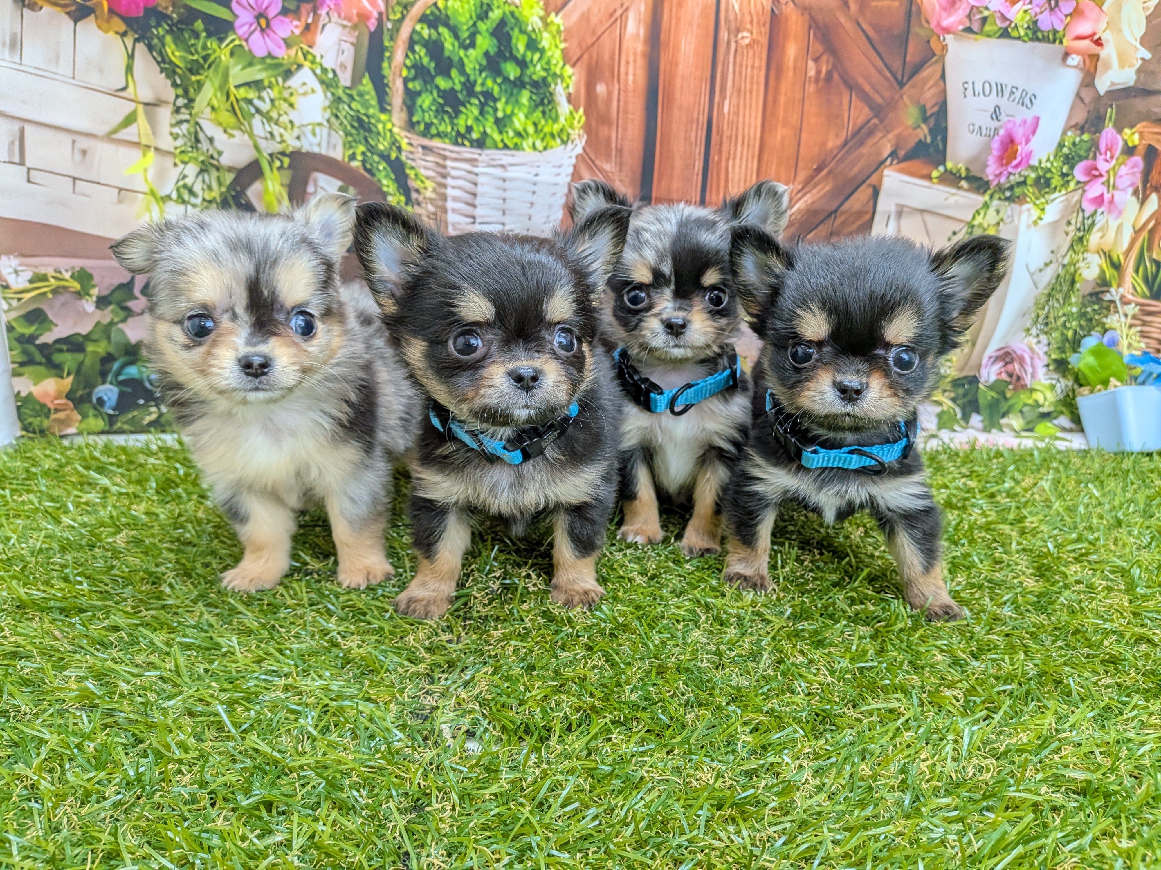 赤ちゃん写真3-3