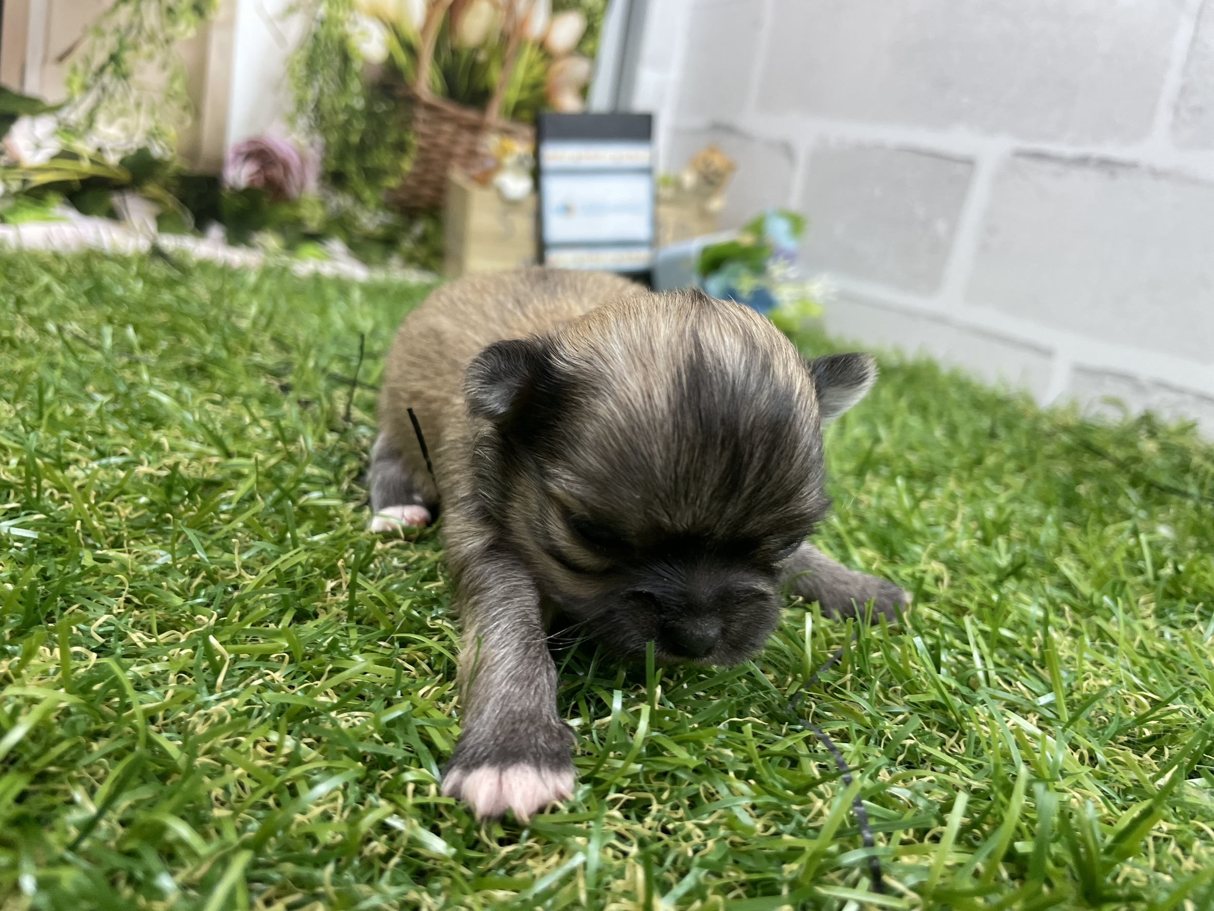 赤ちゃん写真1-1