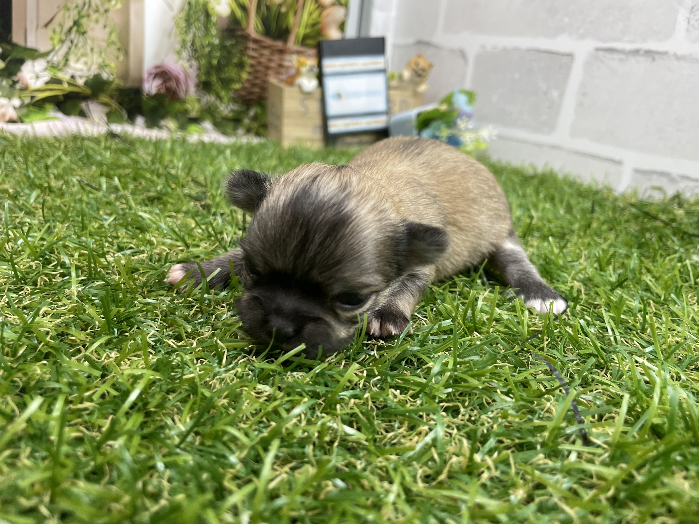 赤ちゃん写真1-2