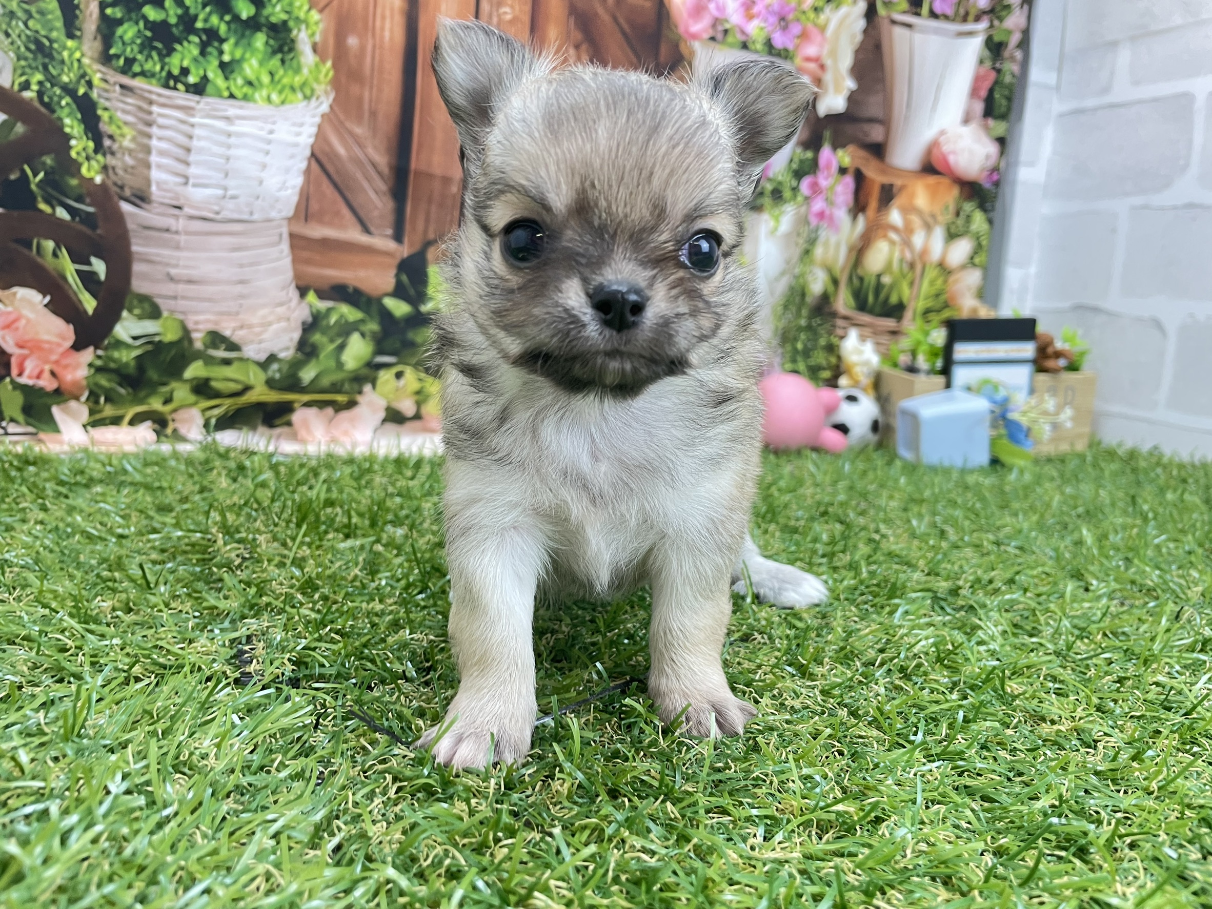 赤ちゃん写真2-1