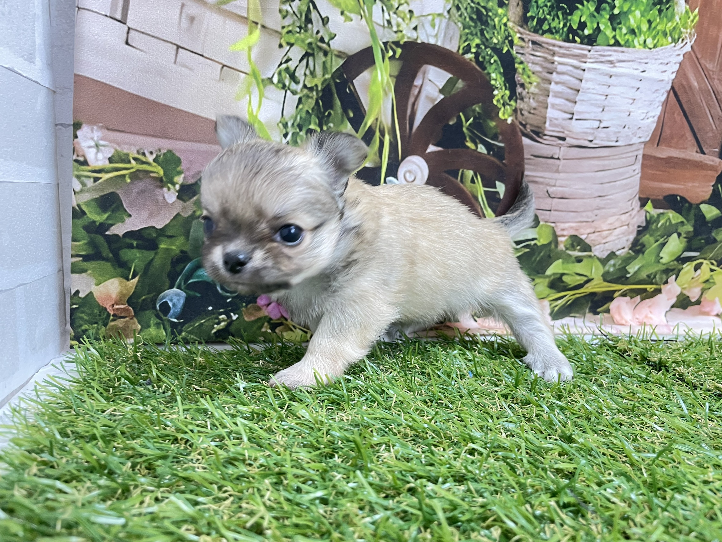 赤ちゃん写真2-2