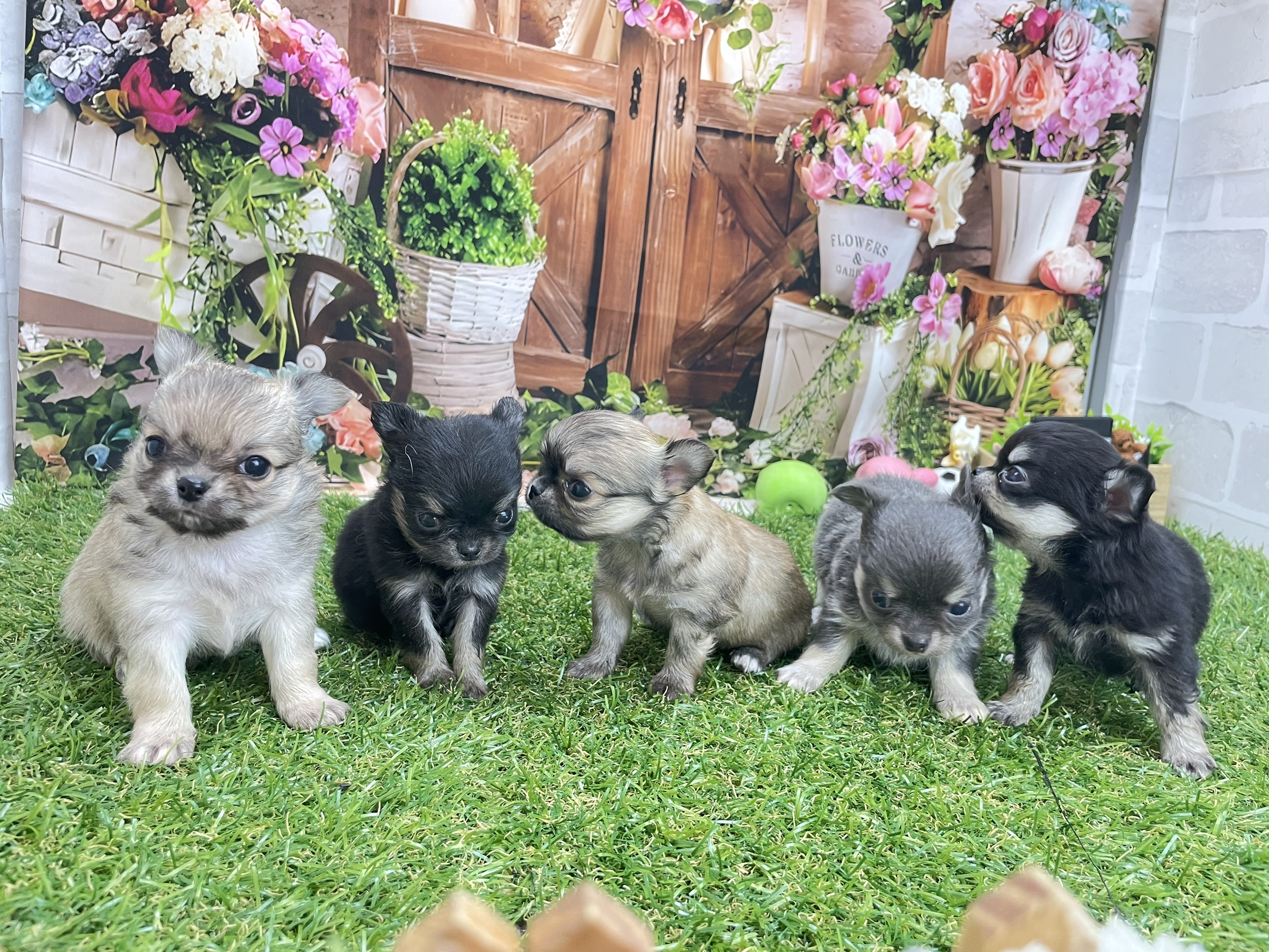 赤ちゃん写真2-3