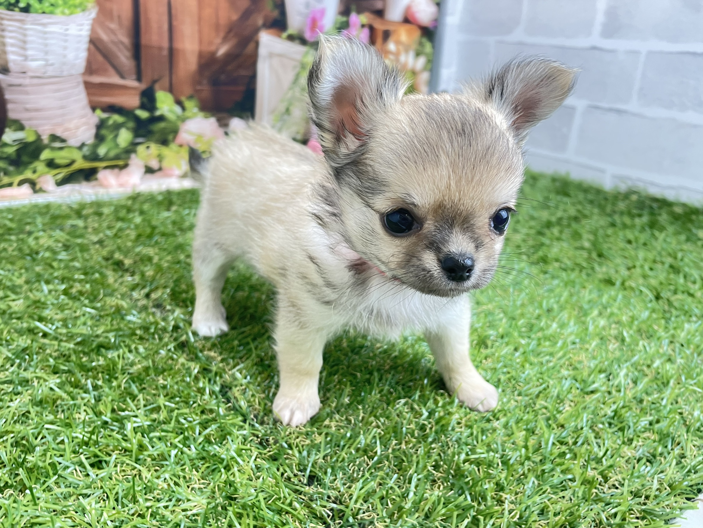 赤ちゃん写真3-2