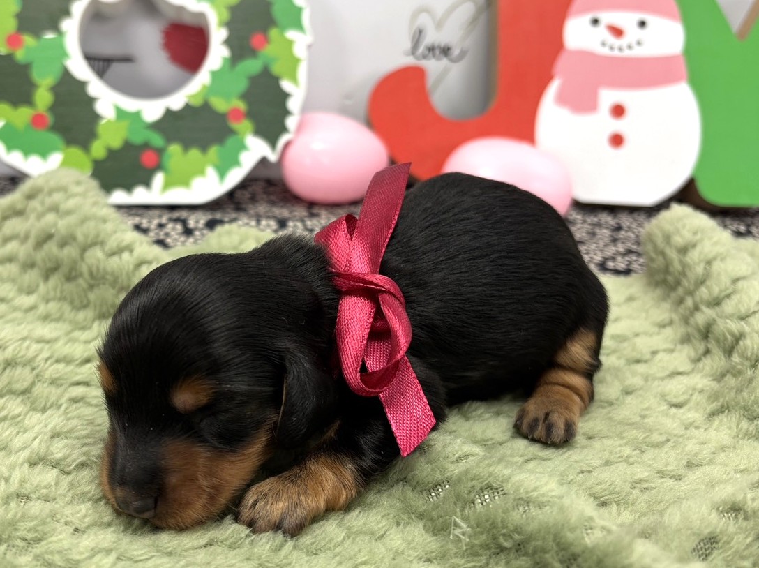 赤ちゃん写真1-2