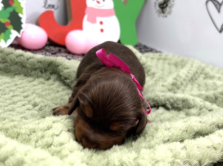 赤ちゃん写真1-1