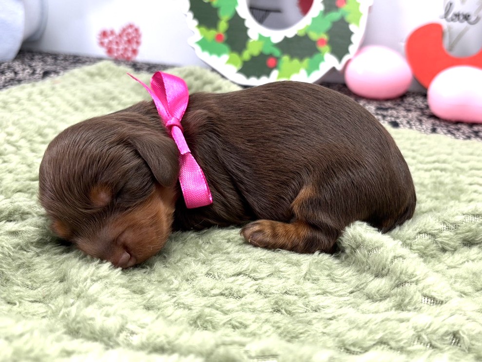 赤ちゃん写真1-2