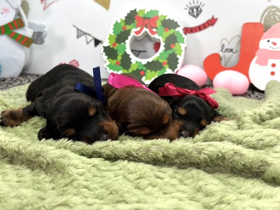 赤ちゃん写真1-3