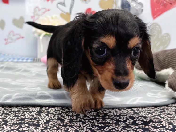 赤ちゃん写真2-1