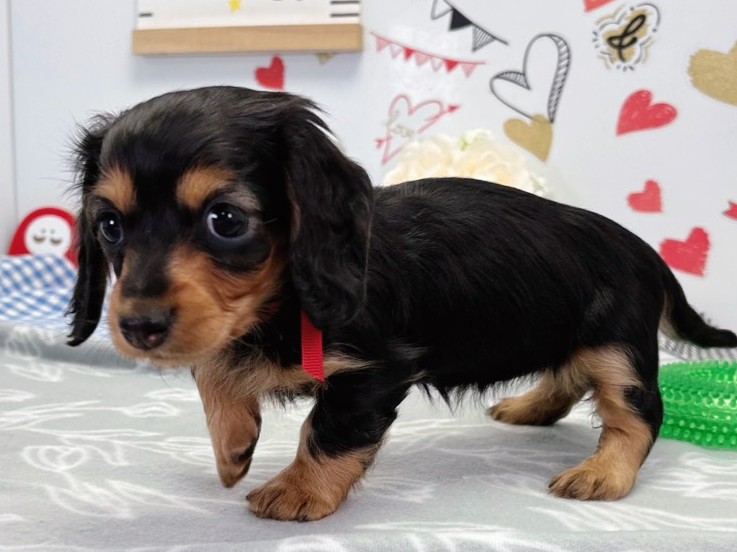 赤ちゃん写真2-2