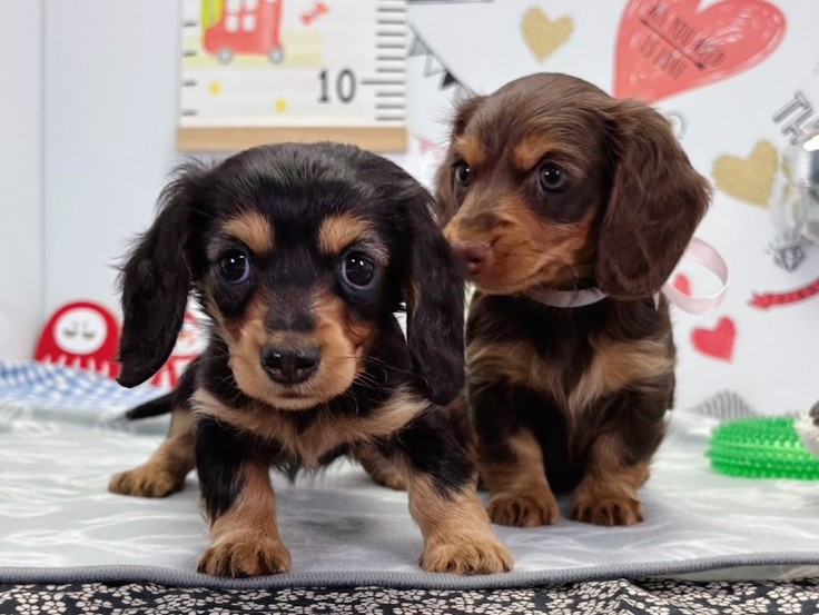 赤ちゃん写真2-3