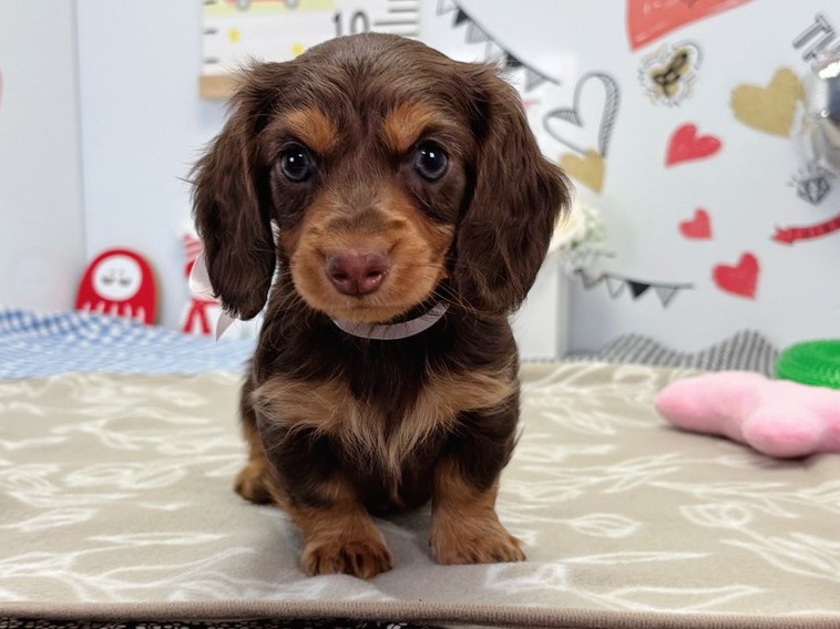 赤ちゃん写真2-1