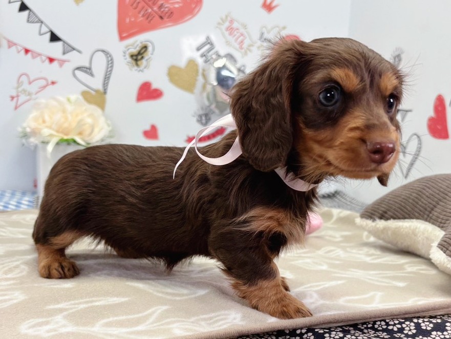 赤ちゃん写真2-2