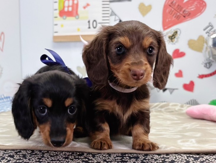 赤ちゃん写真2-3