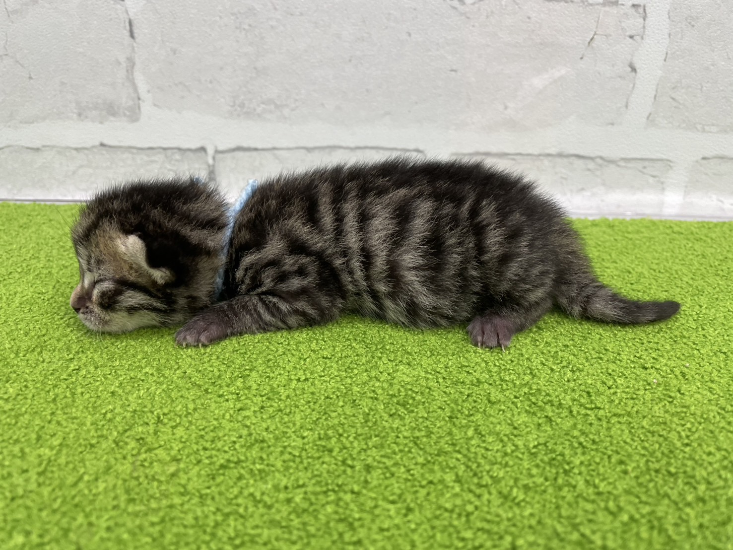 赤ちゃん写真1-2