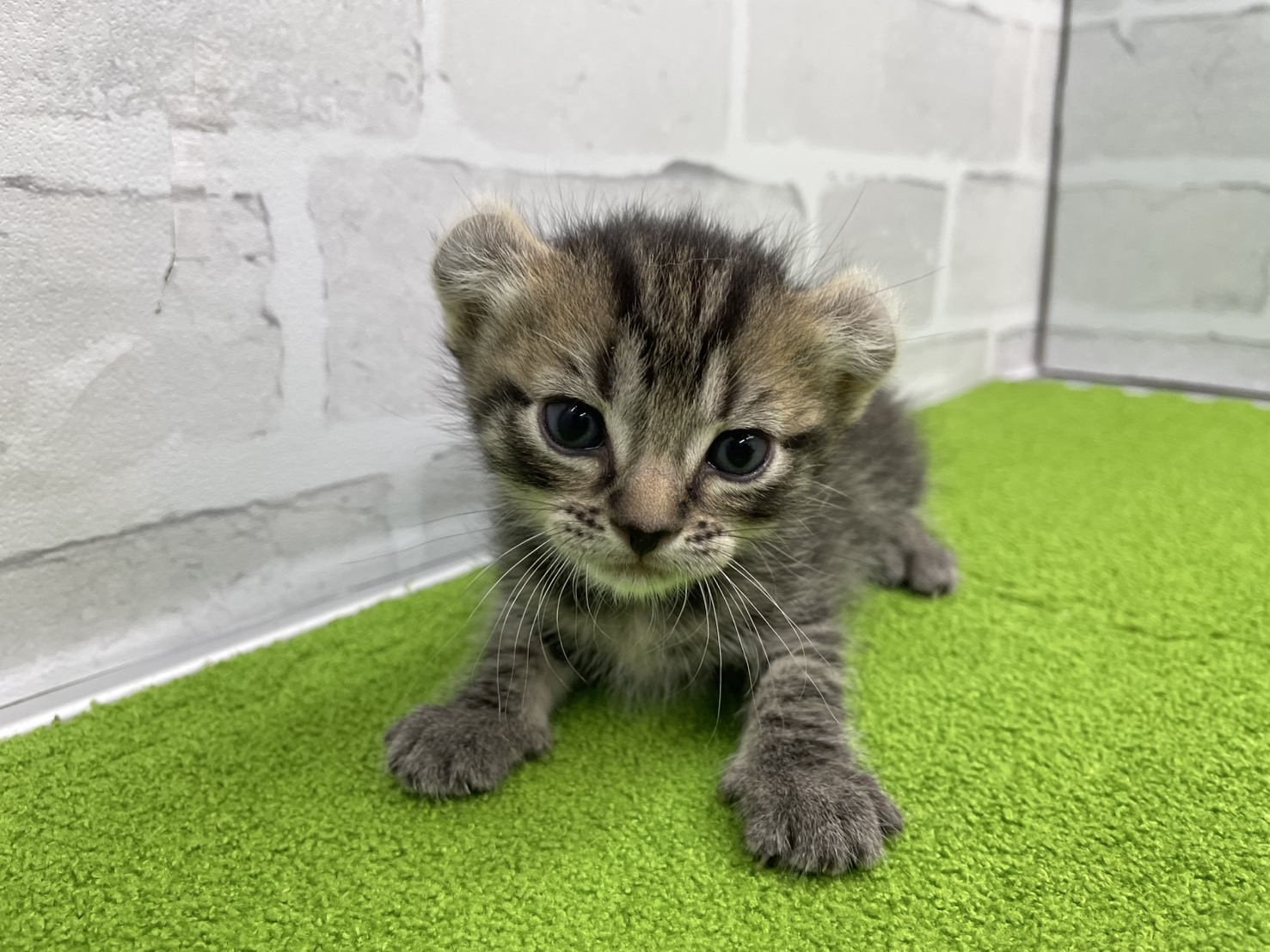 赤ちゃん写真2-1