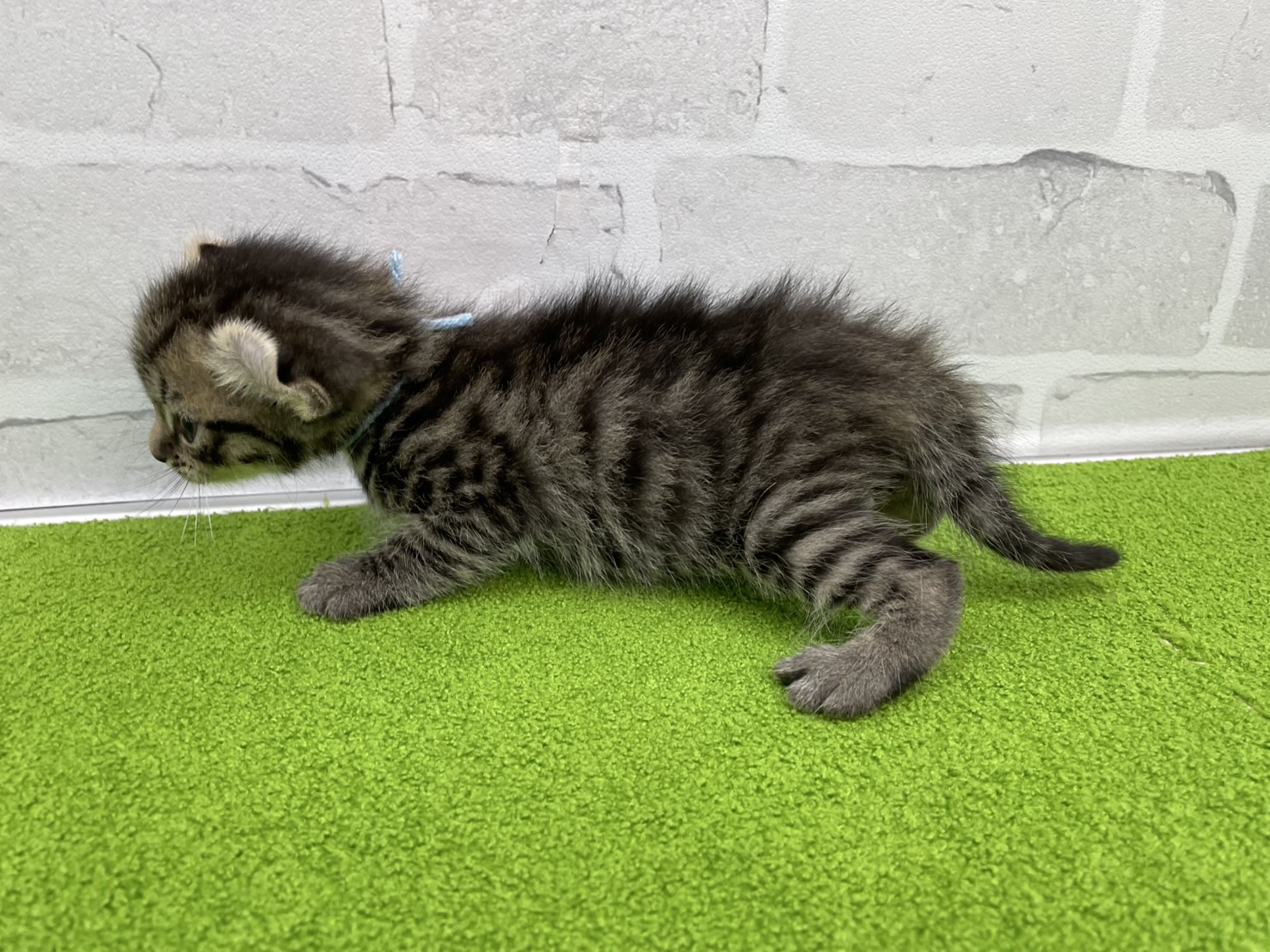 赤ちゃん写真2-2