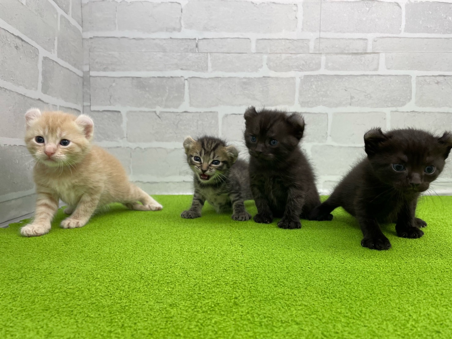 赤ちゃん写真2-3