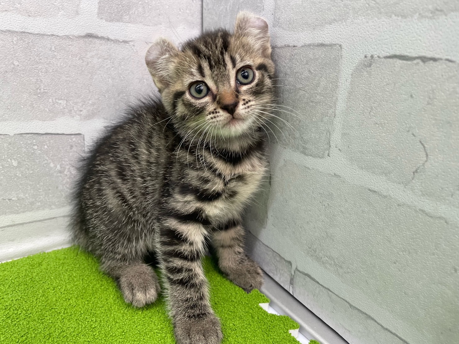 赤ちゃん写真3-1