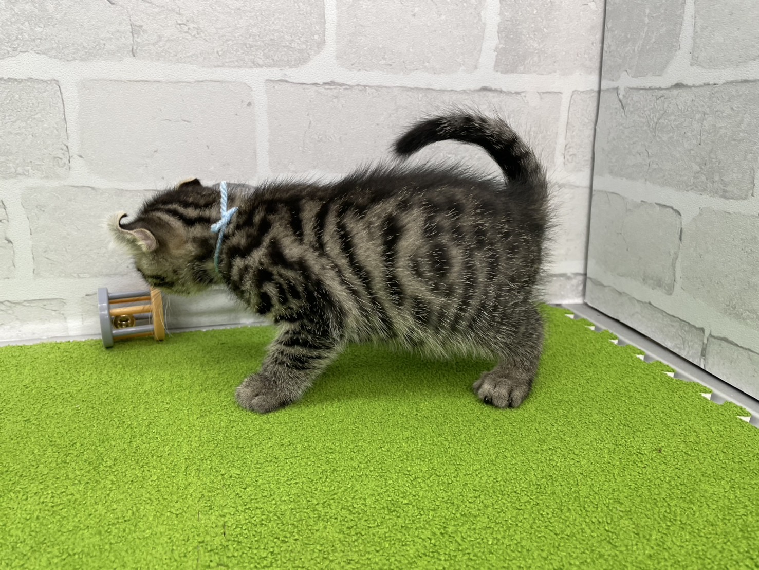 赤ちゃん写真3-2