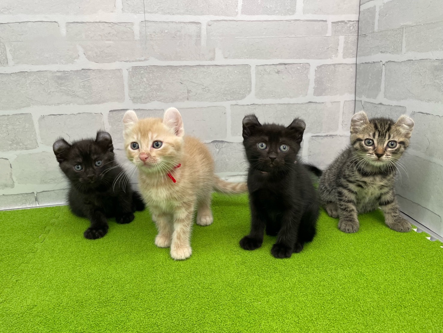 赤ちゃん写真3-3