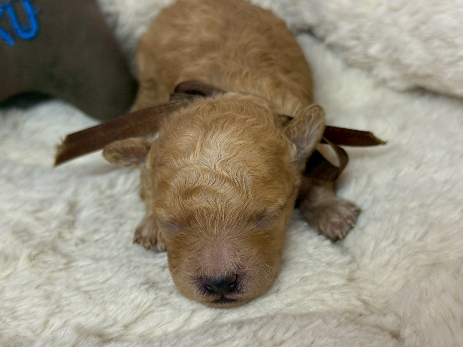 赤ちゃん写真1-1