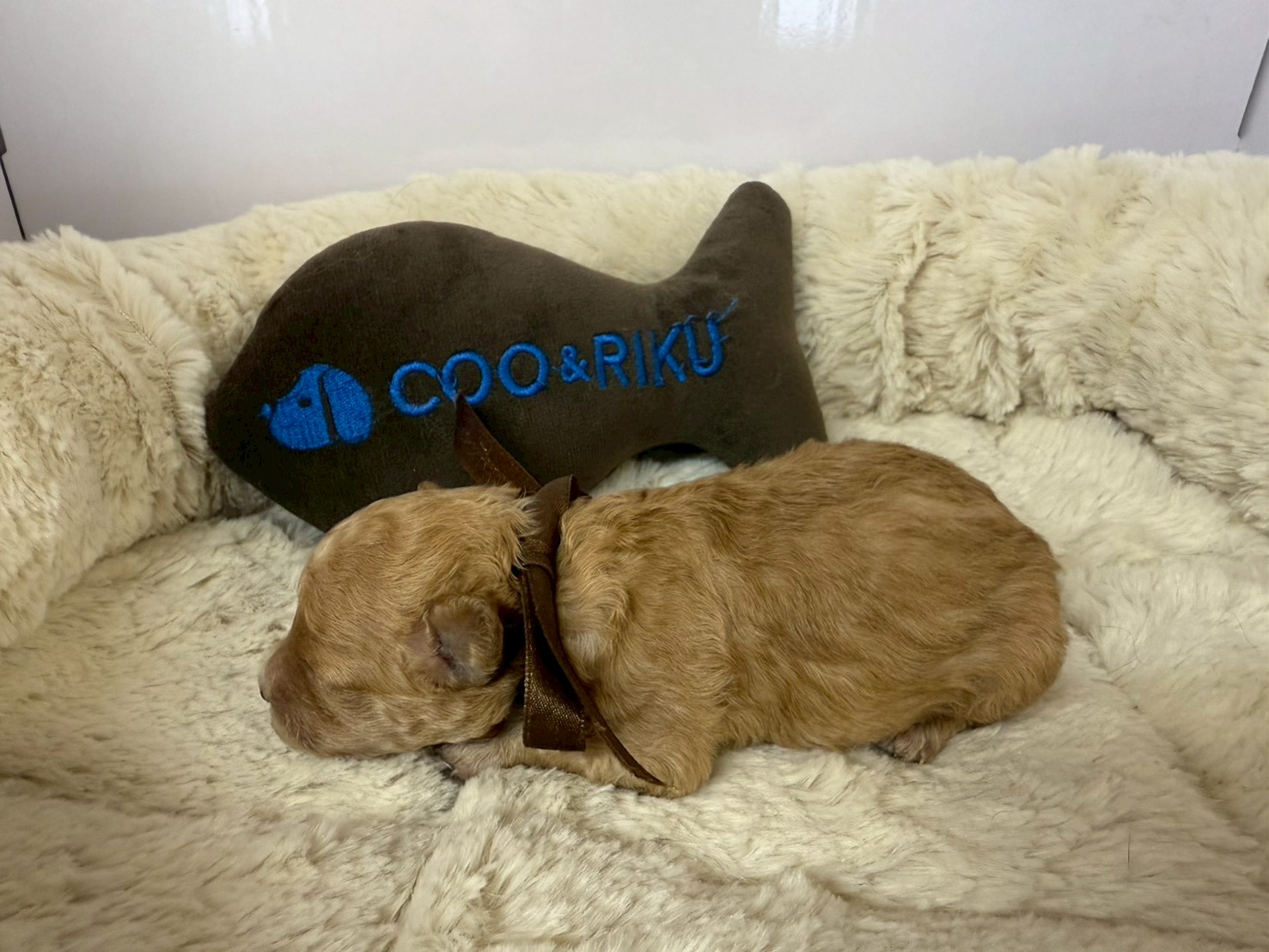 赤ちゃん写真1-2