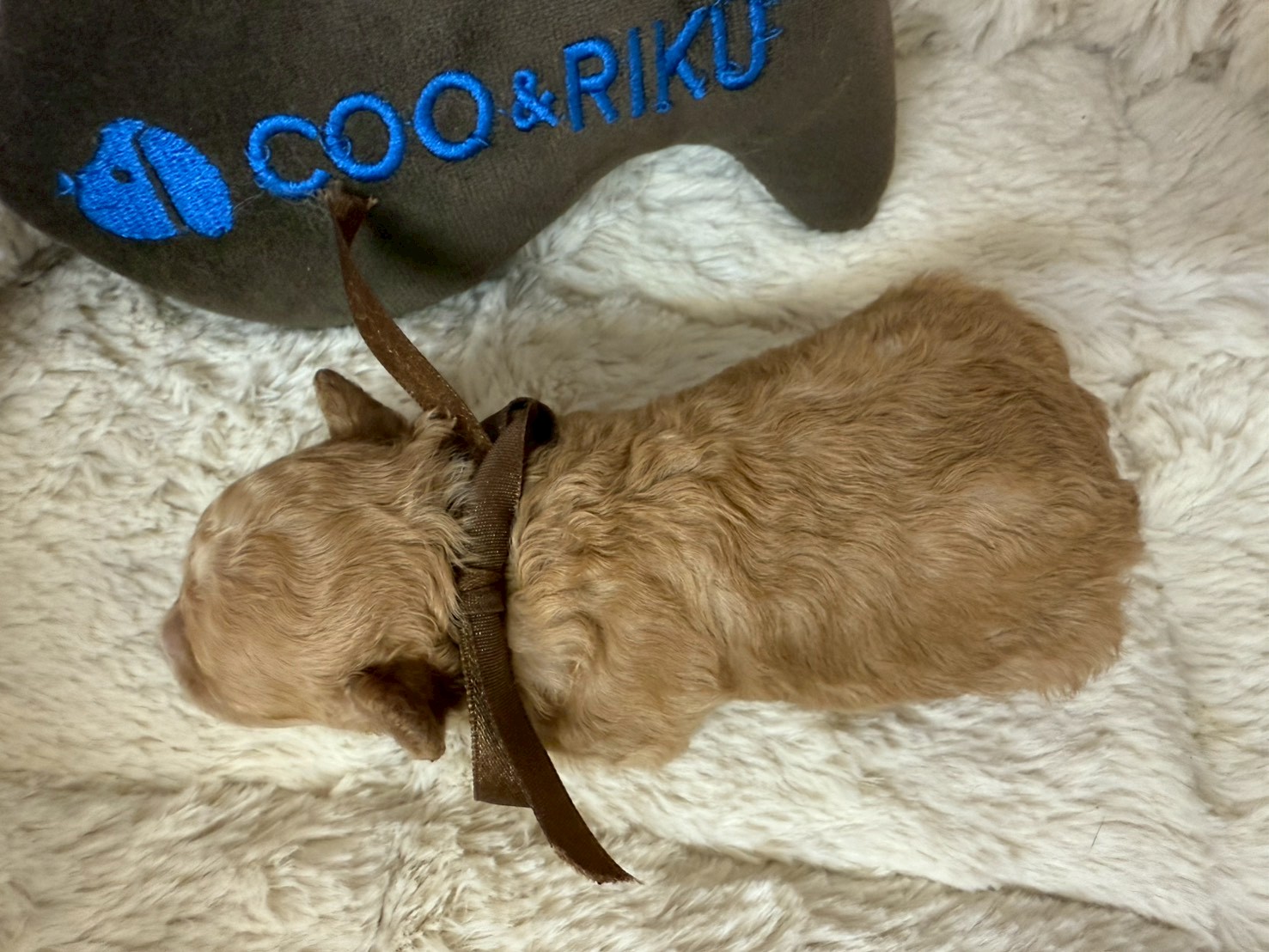 赤ちゃん写真1-3