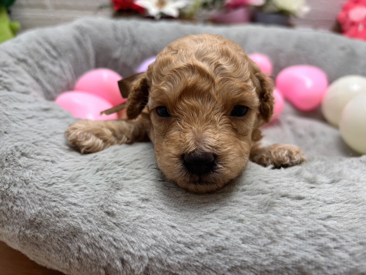 赤ちゃん写真2-1