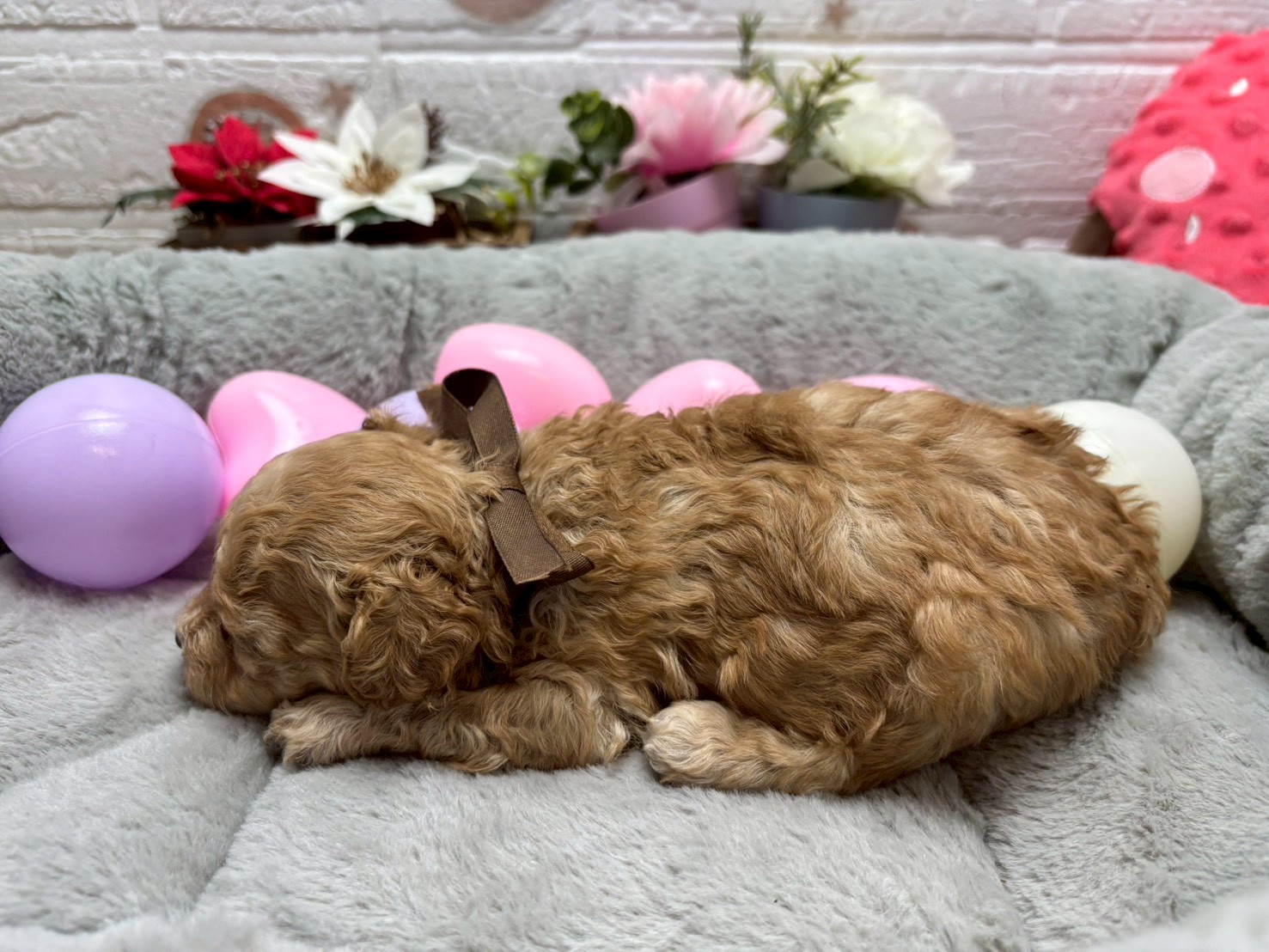 赤ちゃん写真2-2