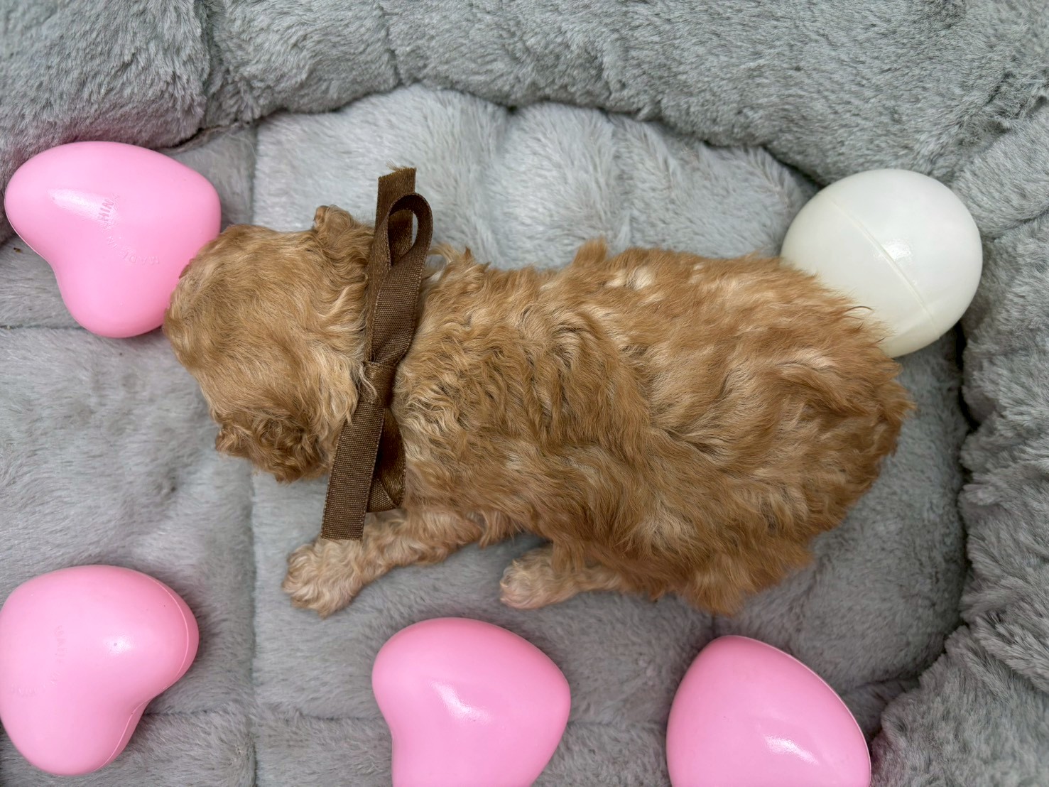 赤ちゃん写真2-3