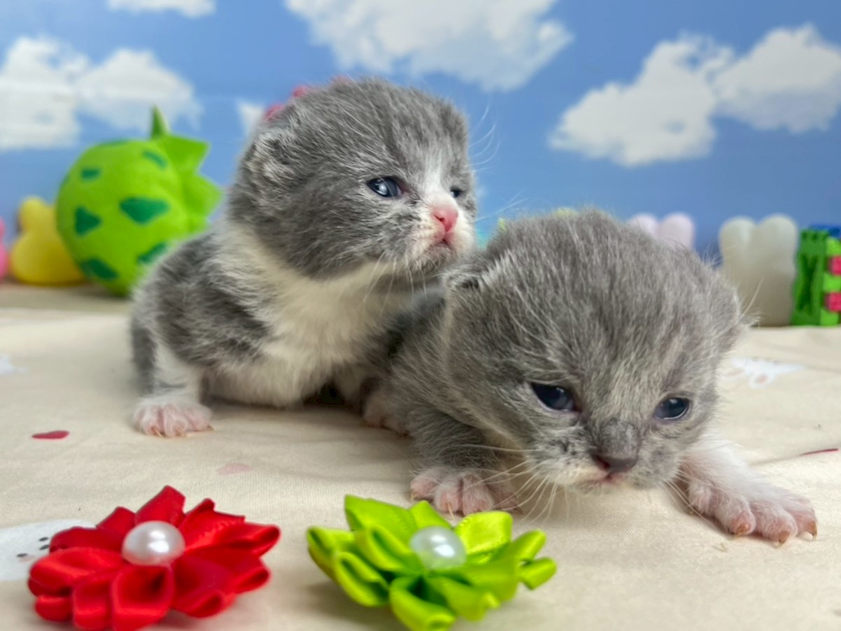 赤ちゃん写真1-3