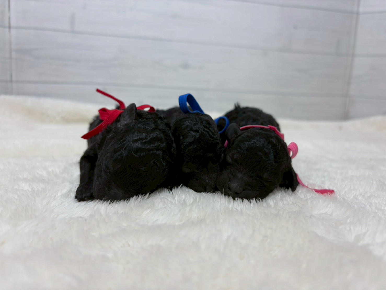 赤ちゃん写真1-3