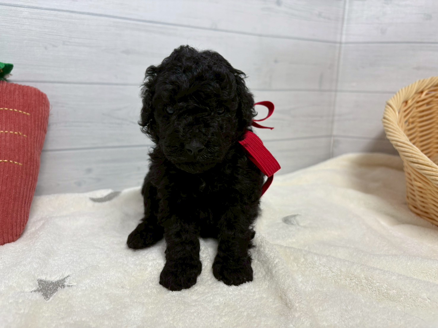 赤ちゃん写真2-1