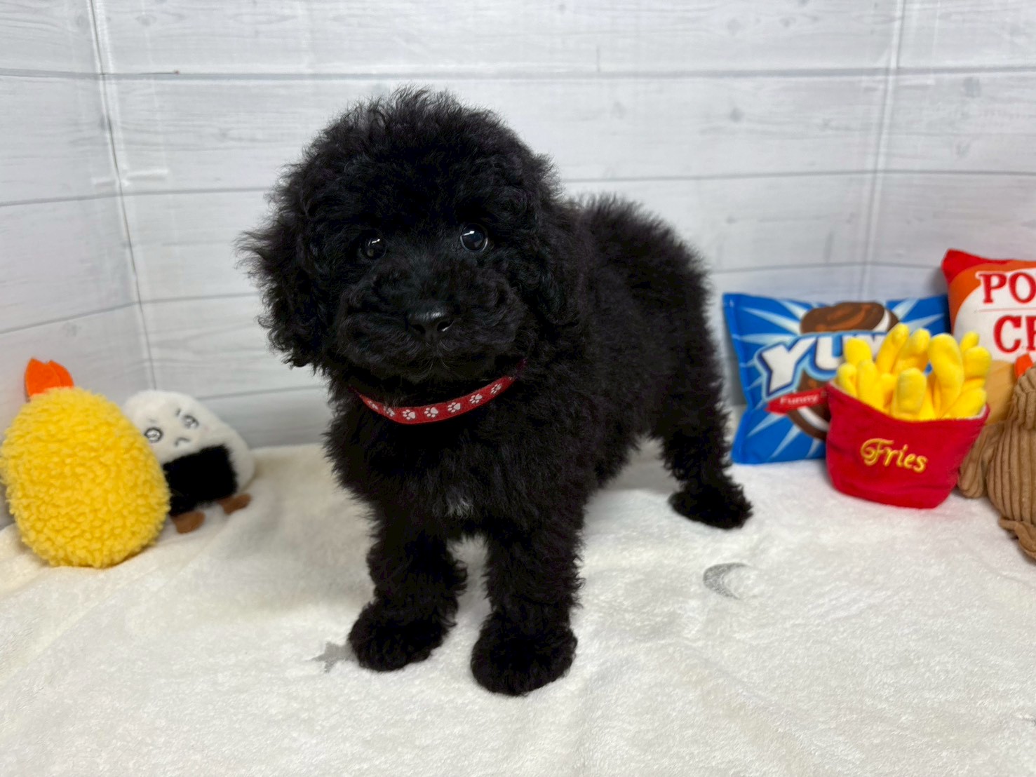 赤ちゃん写真3-1