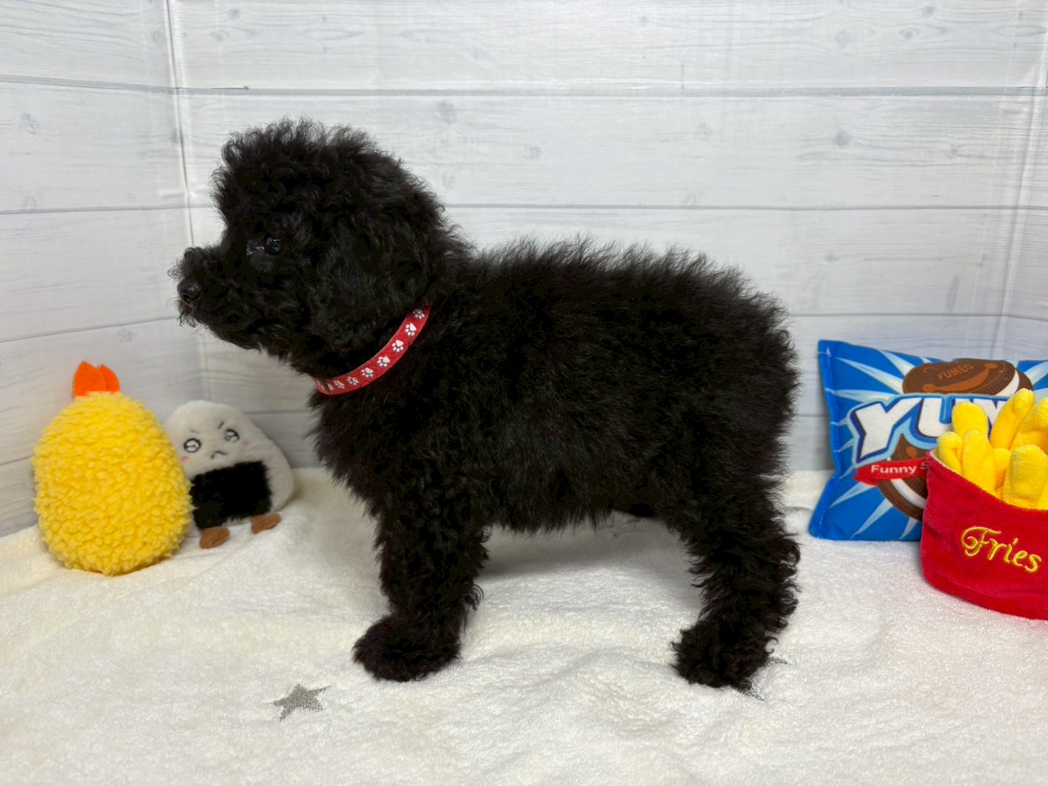 赤ちゃん写真3-2