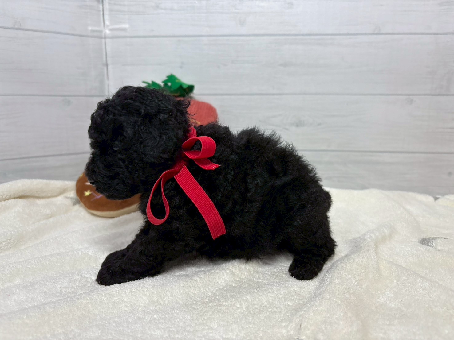 赤ちゃん写真2-2