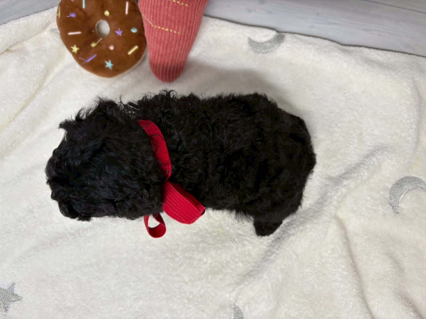 赤ちゃん写真2-3