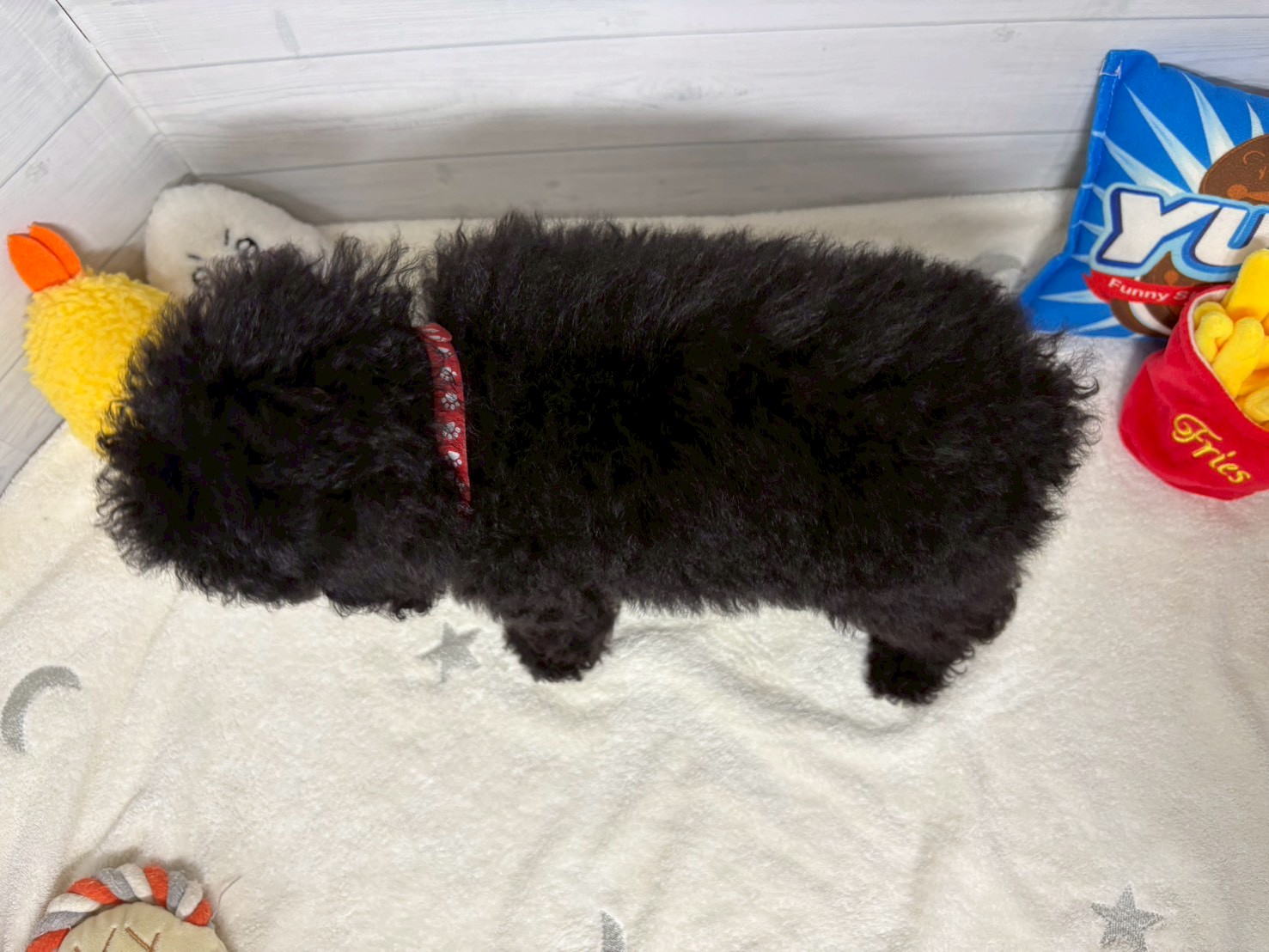 赤ちゃん写真3-3