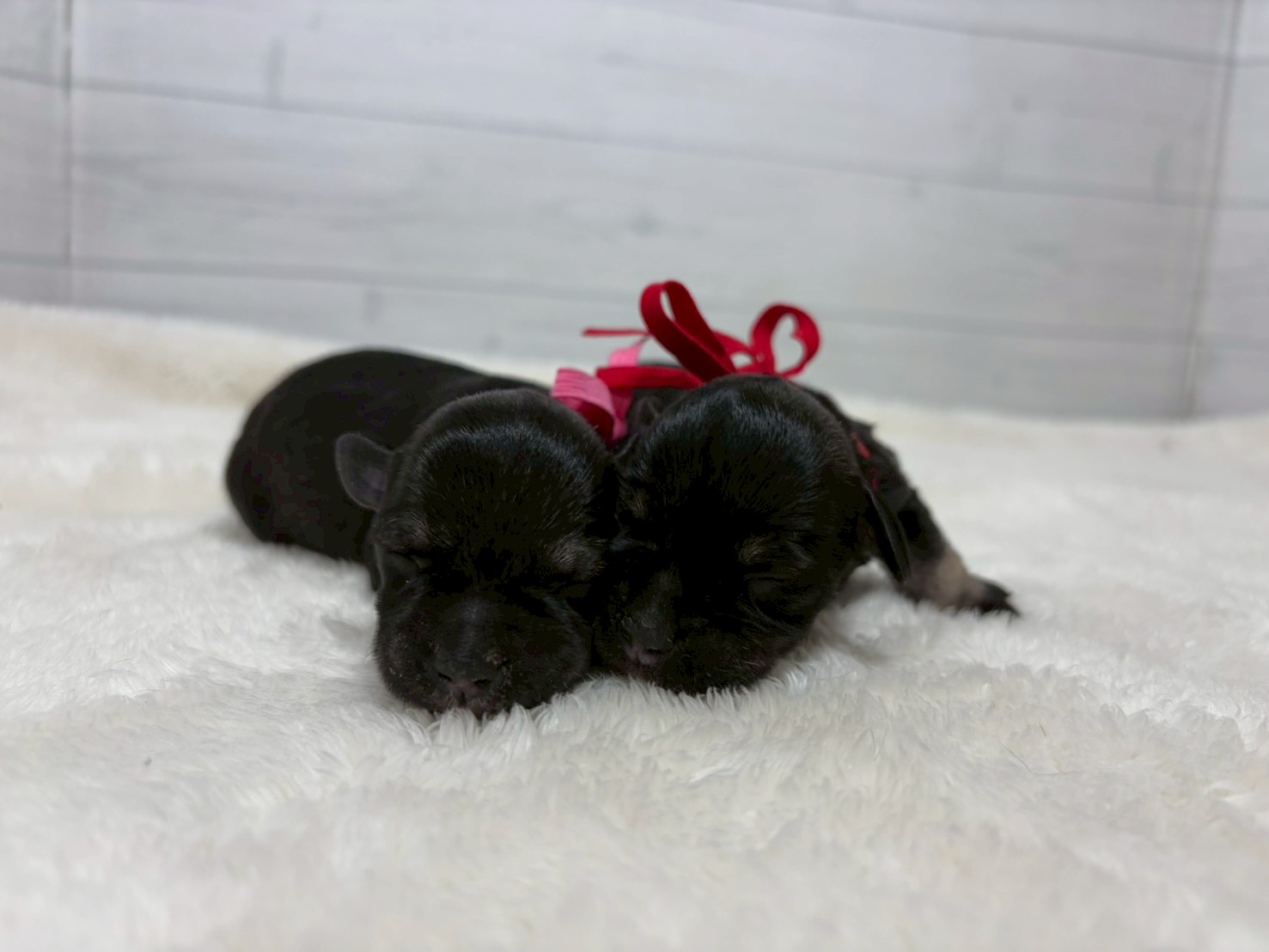 赤ちゃん写真1-3