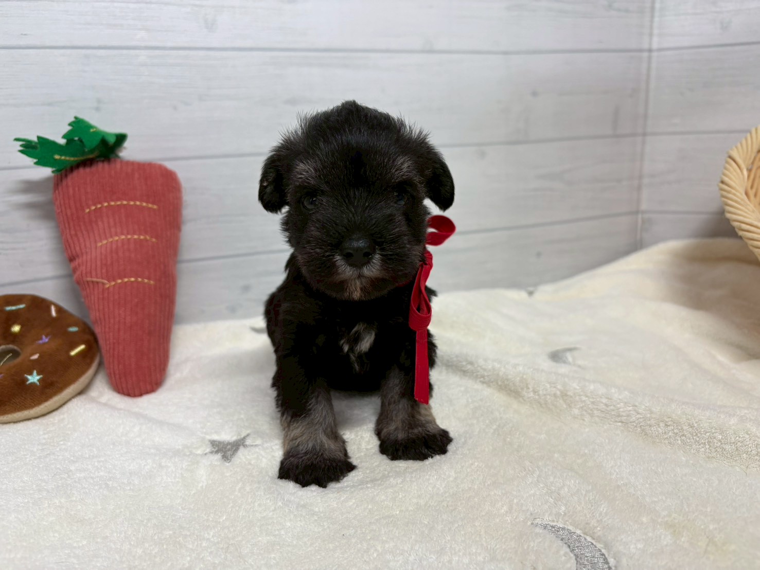 赤ちゃん写真2-1