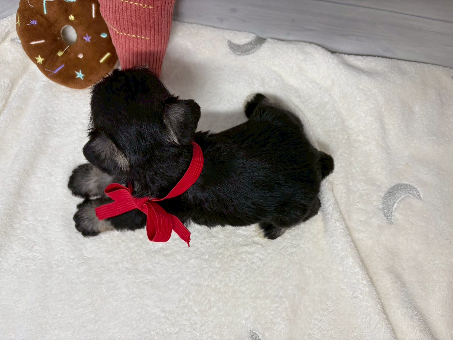 赤ちゃん写真2-3