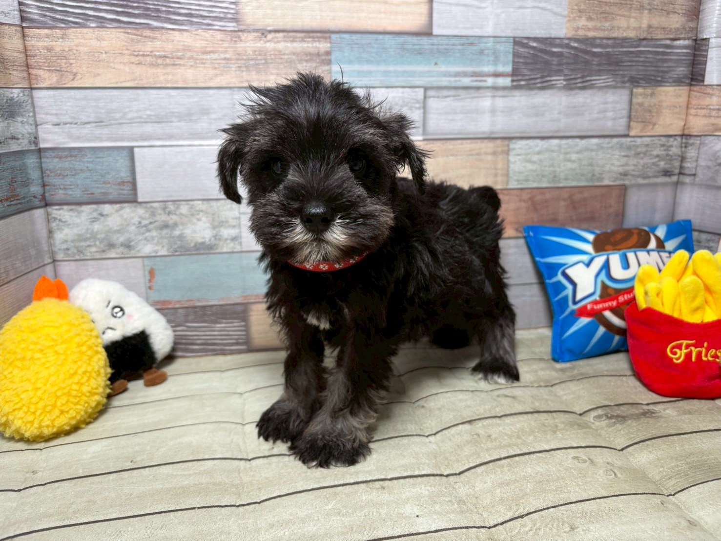 赤ちゃん写真3-1