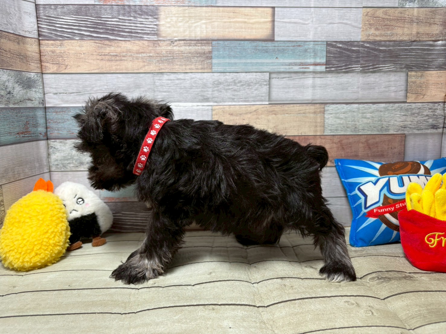 赤ちゃん写真3-2