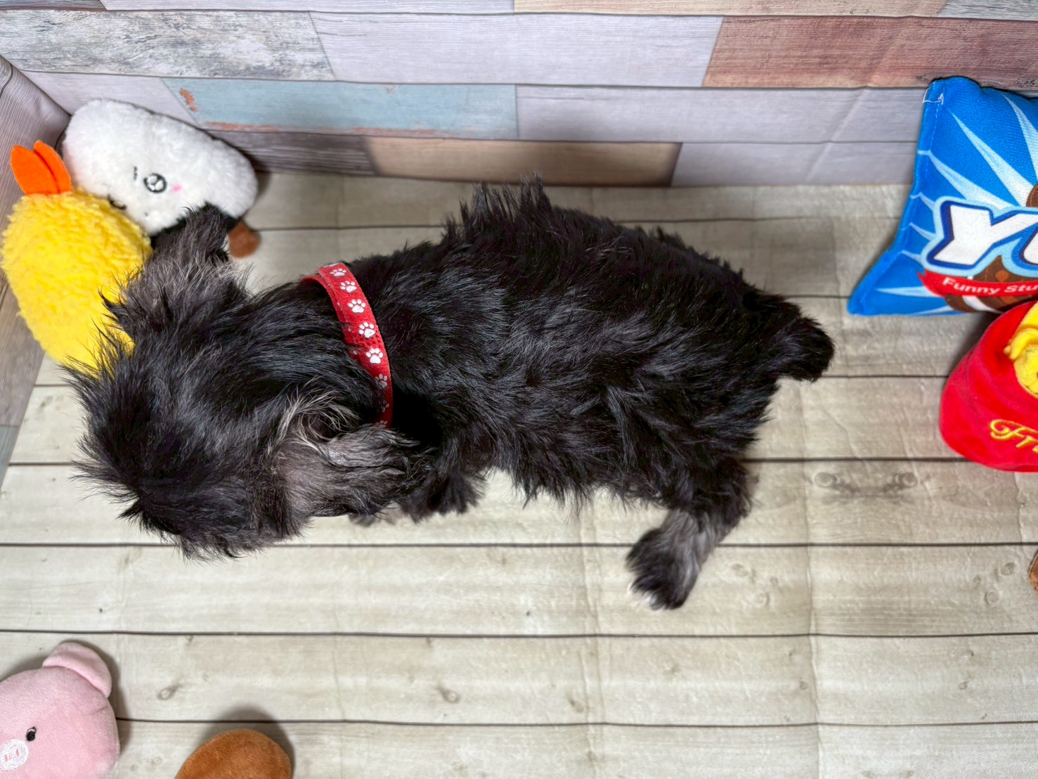 赤ちゃん写真3-3