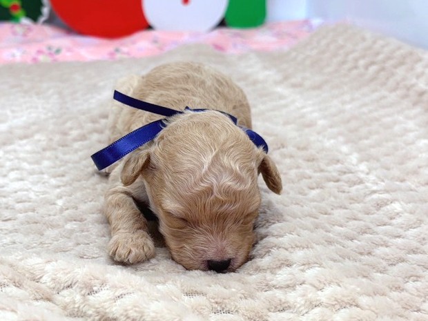 赤ちゃん写真1-1