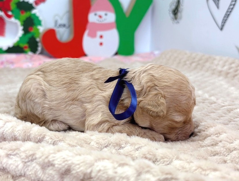 赤ちゃん写真1-2